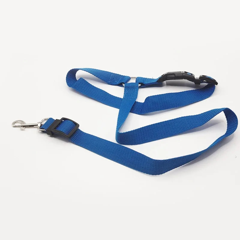 Car Seat Belt For Dog