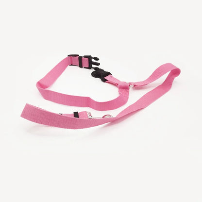 Car Seat Belt For Dog