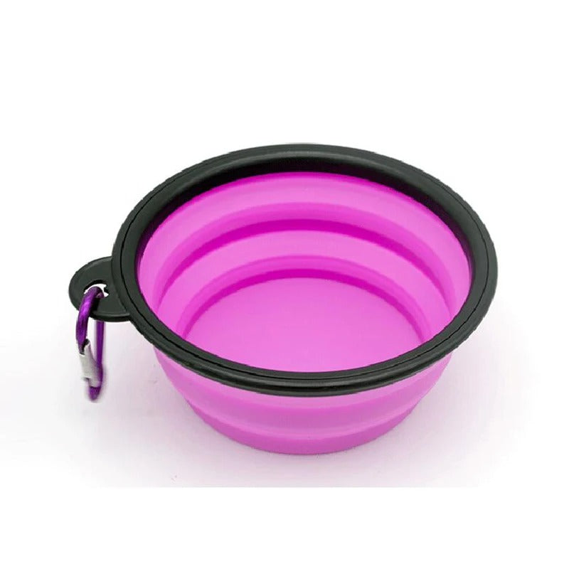 Folding Feeder and water container